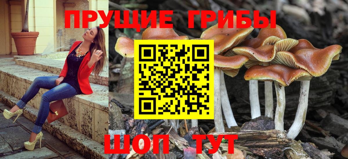 Псилоцибиновые грибы ЛСД Звенигород