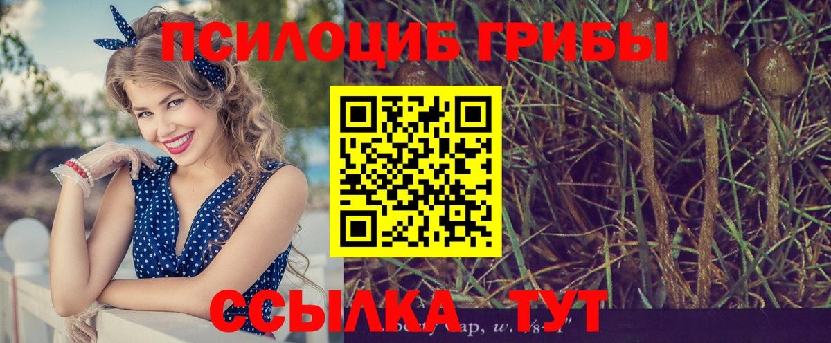 Галлюциногенные грибы ЛСД  Псилоцибиновые грибы ЛСД  Звенигород  Вход с VPN 