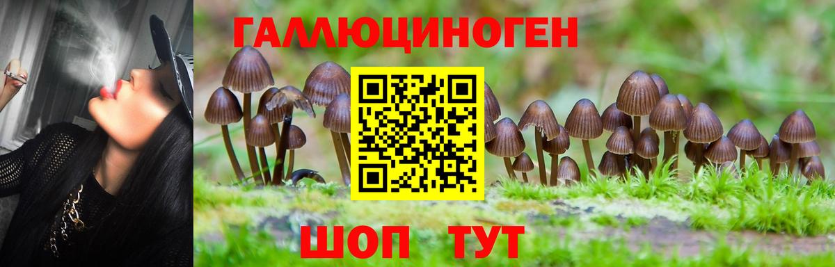 Экстази  ГАШ  Cocaine  Меф МЯУ МЯУ   Звенигород  Гашиш  Вход с VPN 