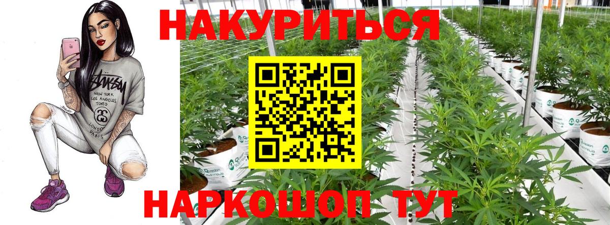 Шишки марихуана VHQ Звенигород